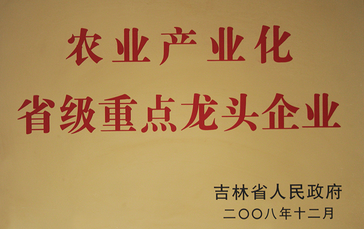 2008年